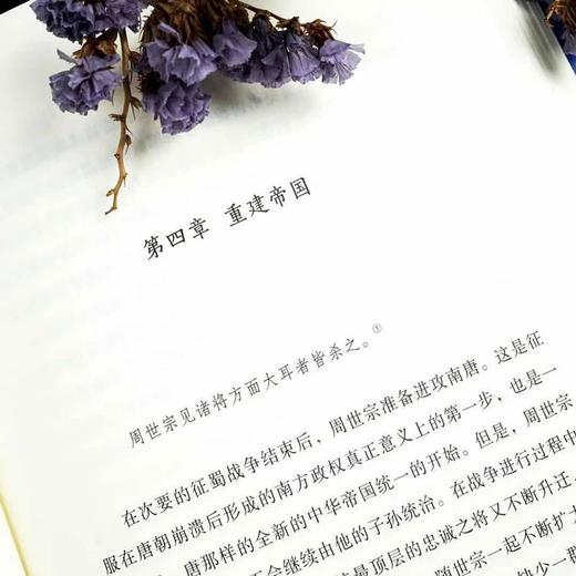 汗青堂丛书075·重归一统 宋初的战与和  全面解读宋朝开国大战略 （美）龙沛 著 商品图3