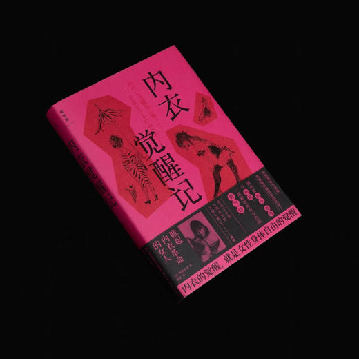 内衣觉醒记（日）鸭居羊子 著 商品图1