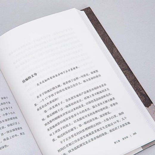 悬浮 异乡人的都市生存 商品图3