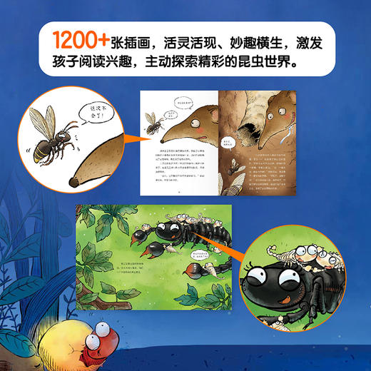 爆笑昆虫记（全十册）给孩子严谨、扎实、丰富的昆虫科普。 商品图4