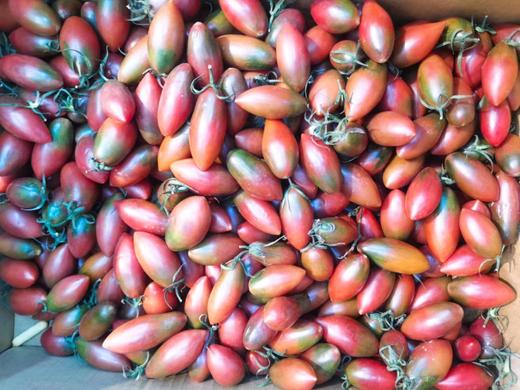 特价子弹头柿子2斤 商品图1