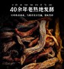 茶妈妈 新会小青柑普洱礼盒装250g 商品缩略图3
