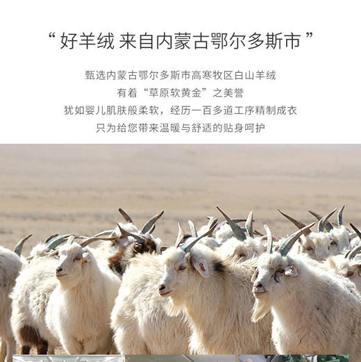 【 男款羊绒保暖裤】100%阿尔巴斯白山羊绒多个颜色可选 常规款和加厚款 无缝痕打底裤 商品图4