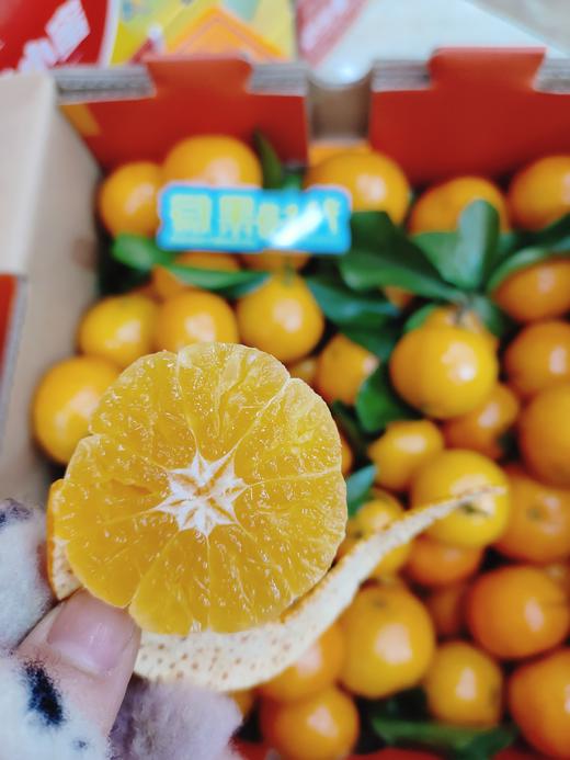 甜弯弯砂糖橘一箱 商品图5