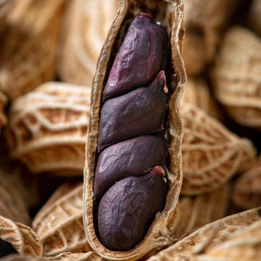 七彩花生&黑花生 | 500g*2袋 生态种植 来自云南普洱 生花生 茶点 生鲜食材 商品图3