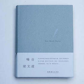 噪音 梁文道 著 艺术、评论