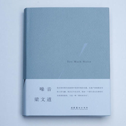 噪音 梁文道 著 艺术、评论 商品图0