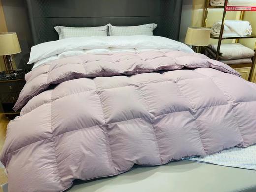 芙瑞缇鹅绒冬被 商品图2
