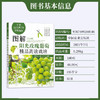 图解阳光玫瑰葡萄精品高效栽培葡萄高效栽培 病虫草害诊断与防治 葡萄合理整修修剪图解 葡萄种植技术书籍葡萄实用栽培技术大全【官方正版，可开发票，下单时留开票信息和电子邮箱】 商品缩略图1
