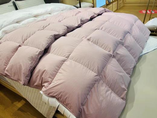 芙瑞缇鹅绒冬被 商品图0