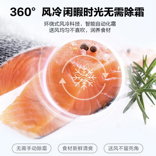 海尔（Haier）冰箱 BCD-191WGHC2Z0G1 商品图8