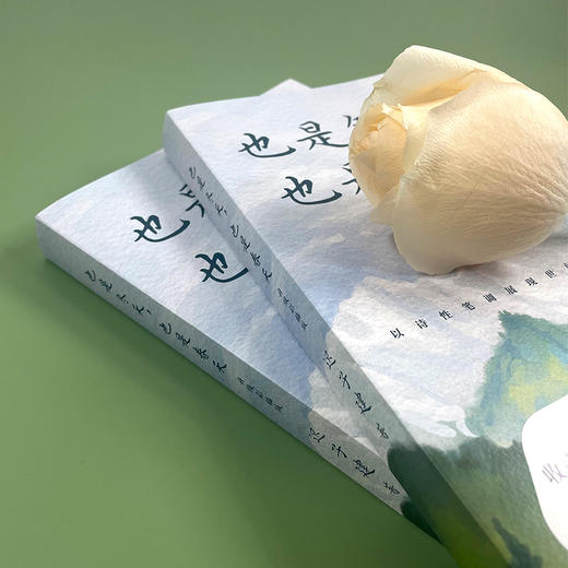 《也是冬天，也是春天》升级彩插版，生活总有裂缝，那是光照进来的地方。 商品图7