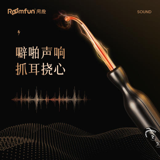 roomfun房趣 电滋棒 商品图1