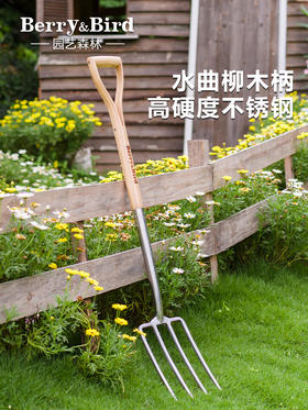 Berry&Bird不锈钢大叉不锈钢小叉不锈钢女士大叉儿童大叉
