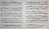 【中商原版】亨乐原版 巴赫 D小调半音阶幻想曲与赋格 BWV903 903a 钢琴独奏带指法 Bach Chromatic Fantasy and Fugue d minor HN163 进口艺术 商品缩略图7