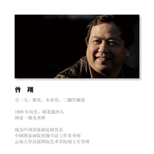 曾翔书法 · 临游寿《年華初冠帶，文體舊弓裘》 商品图8