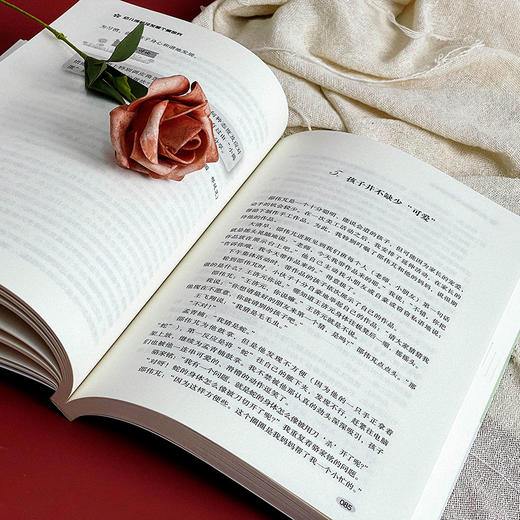 幼儿成长及发展个案研究 幼儿教师培训用书 张亚军 大夏书系 商品图11