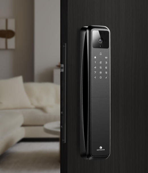 德施曼Q50FMax哨兵版智能门锁 商品图2