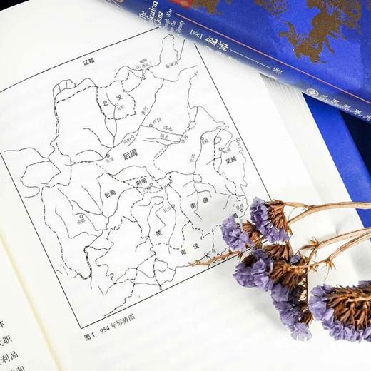 汗青堂丛书075·重归一统 宋初的战与和  全面解读宋朝开国大战略 （美）龙沛 著 商品图5