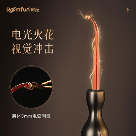 roomfun房趣 电滋棒 商品图2