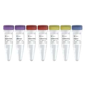 UltraClean ds-cDNA Synthesis Module (+gDNA wiper)