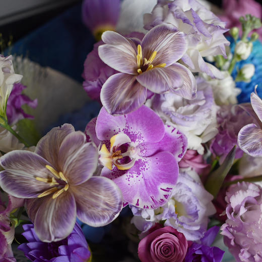 《长相思》  藏宝图蝴蝶兰布朗尼郁金香花束 商品图4