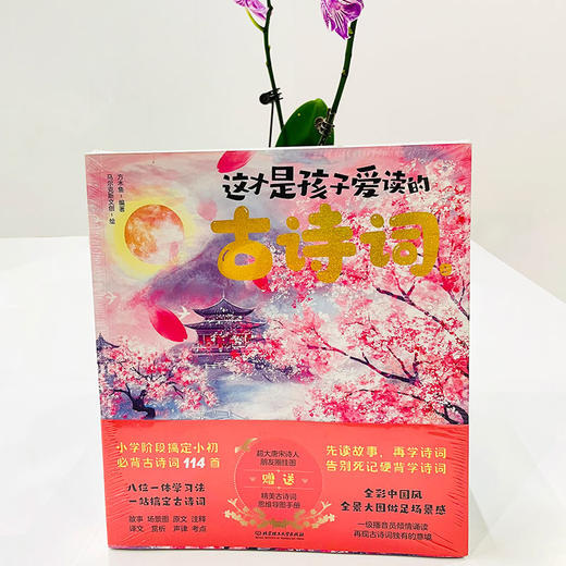 3-9年｜这才是孩子爱读的古诗词（3册套装） 适读年龄：小学高年级、初中 商品图3