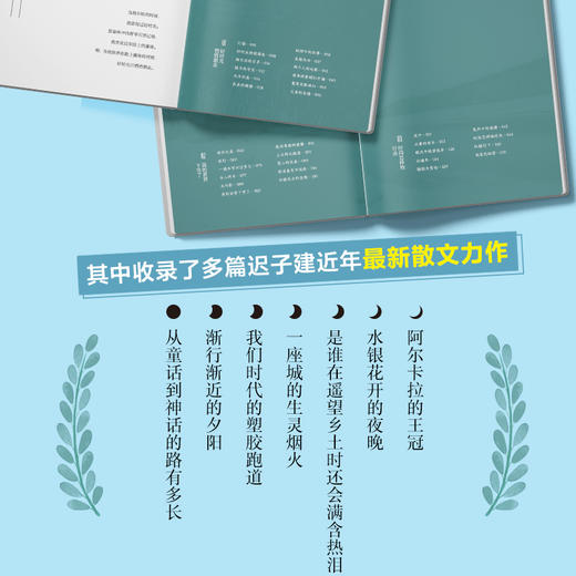 《也是冬天，也是春天》升级彩插版，生活总有裂缝，那是光照进来的地方。 商品图4