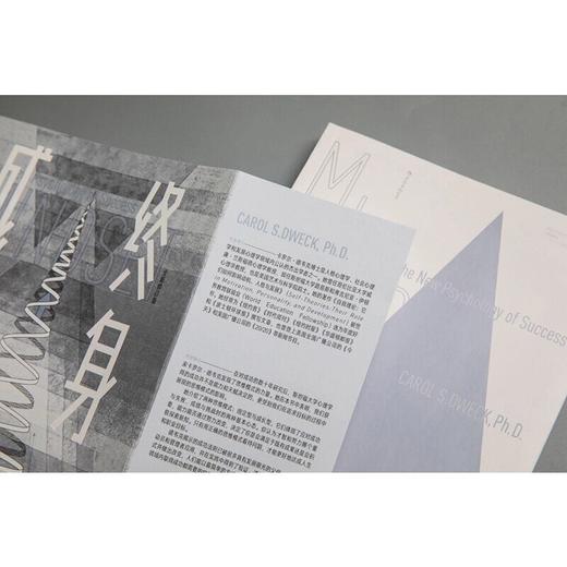 终身成长：重新定义成功的思维模式（美）卡罗尔·德韦克 著 商品图2