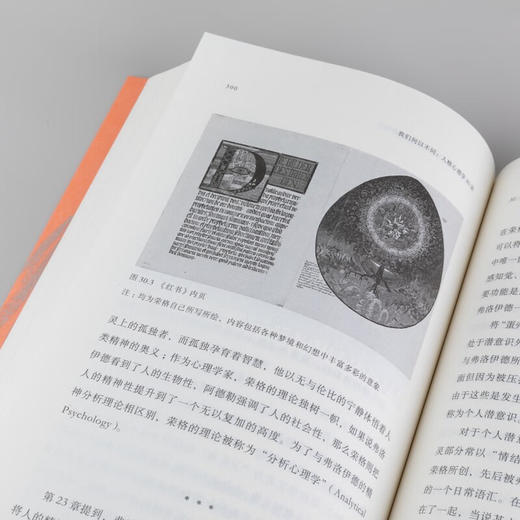我们何以不同 : 人格心理学40讲 商品图5