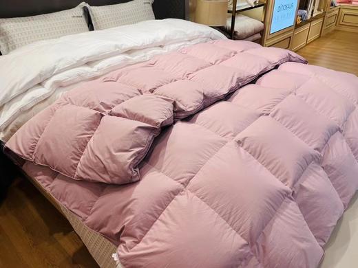 芙瑞缇鹅绒冬被 商品图1