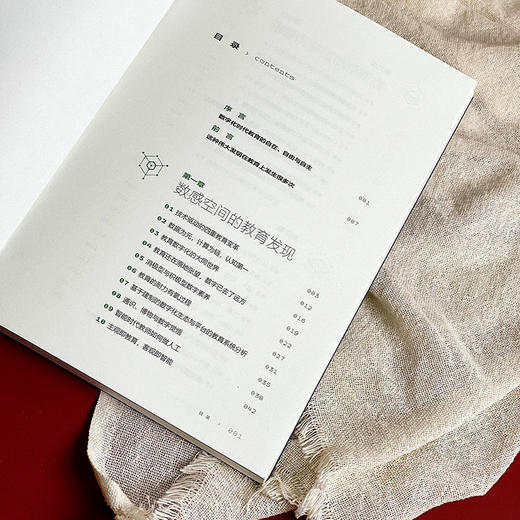 数字时代的教育转型 大夏书系 教育新思考 魏忠著 商品图6
