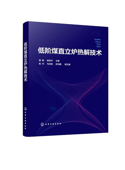 低阶煤直立炉热解技术 商品图1