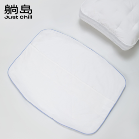 布里云羽绒枕枕套