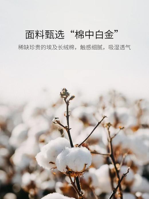 罗卡芙埃及长绒棉毛巾 商品图4