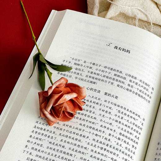 幼儿成长及发展个案研究 幼儿教师培训用书 张亚军 大夏书系 商品图12