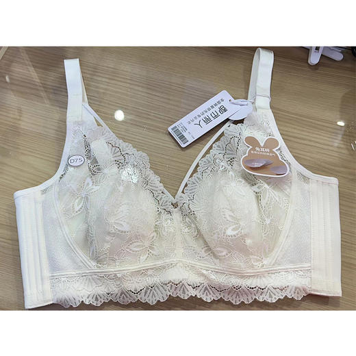 都市丽人舒软挺塑内衣女士文胸BCD杯适穿超薄蕾丝调整型四排扣无钢圈LJ33X6 商品图0