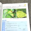 马铃薯病虫害绿色防控彩色图谱 扫码看视频 病虫害绿色防控系列 马铃薯土豆栽培种植技术 土豆马铃薯病虫害防治 土豆马铃薯高效生产营养配方施肥 李国清 郭文超 中国农业出版社【官方正版，可开发票，下单时留 商品缩略图2