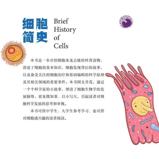 我的两次月球之旅 商品图8