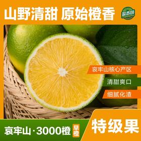 盈香园哀牢山3000橙4.5kg特级