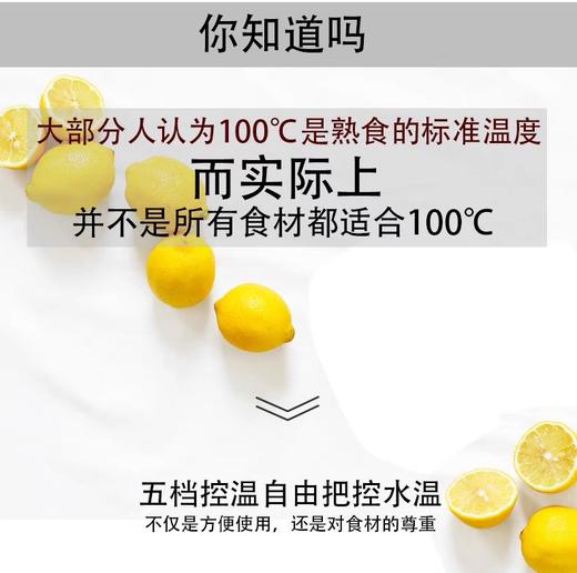 【6F】WMF控温电水壶1.0L 商品图2