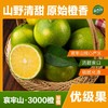 盈香园哀牢山3000橙4.5kg优级 商品缩略图0