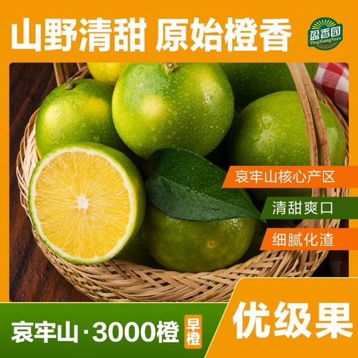 盈香园哀牢山3000橙4.5kg优级 商品图0