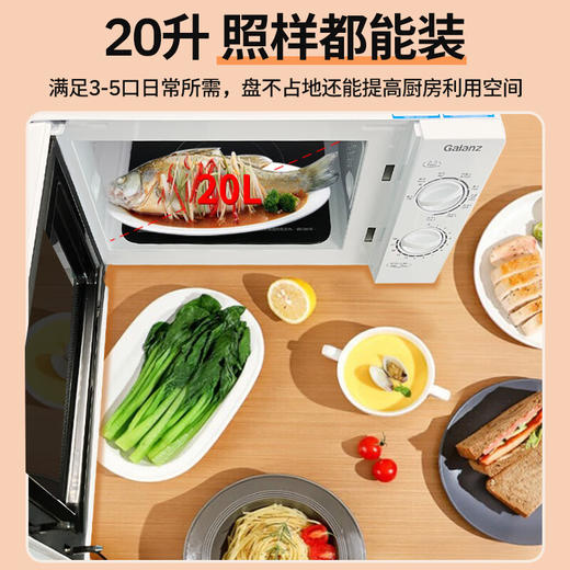 格兰仕微波炉家用光波炉烤箱一体机多功能光波烧烤机械旋钮老人小孩都会用G-DGS0 商品图3