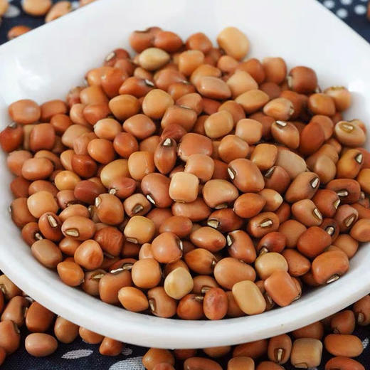 河谷上方 粉豇豆 500g*5袋 商品图2