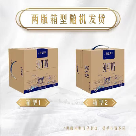 蒙牛特仑苏纯牛奶250ml*16盒 (新老包装随机发货） 商品图1