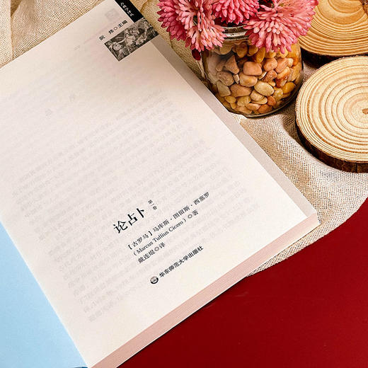 论 zhan bu  古典学译丛 古罗马政治家西塞罗代表作中译本 古罗马历史文化 商品图3