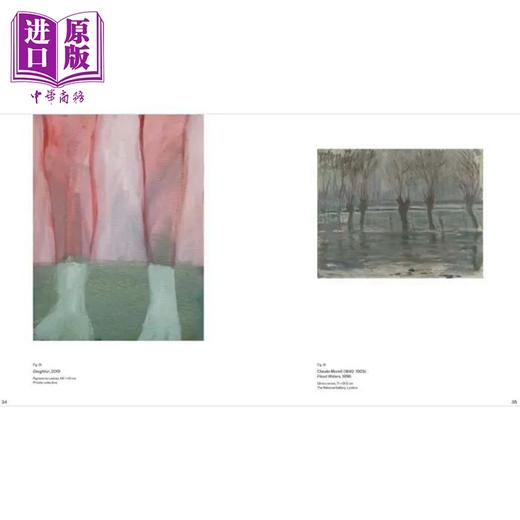 【中商原版】2020 National Gallery Artist In Residence 进口艺术 伦敦艺术家 National Gallery London出版 商品图4