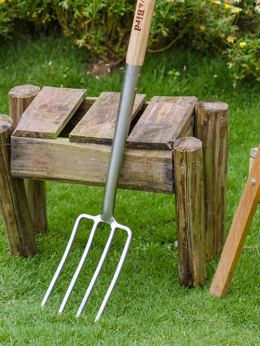 Berry&Bird不锈钢大叉不锈钢小叉不锈钢女士大叉儿童大叉 商品图3