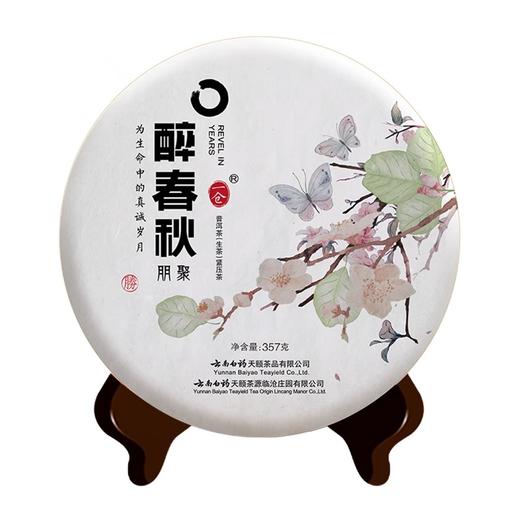 【官方正品】醉春秋·朋聚普洱生茶357g饼茶叶特级正宗生普紧压茶送礼自用2021年茶云南白药天颐茶品出品 商品图4